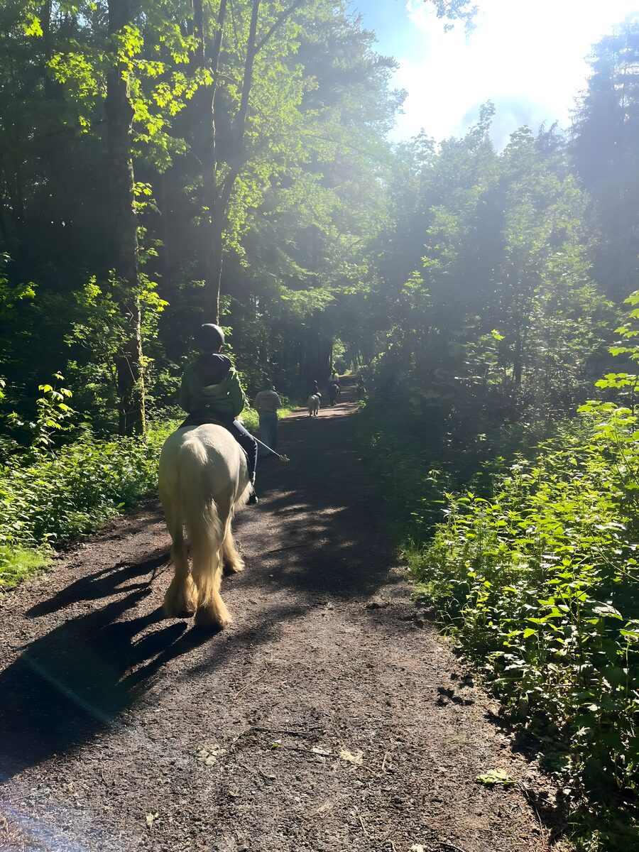 Ausreitgruppe für Kinder auf dem Waldweg